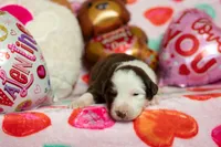 processed/fc7f1ad1-d314-4855-ba7b-a7f677dba74e/listing/da4a5e5c-362a-436d-9308-7a6641ac6c3d/e63c0df1-5eeb-4c52-b571-aed6f40ec01e