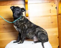 processed/fc7f1ad1-d314-4855-ba7b-a7f677dba74e/listing/e0566736-4990-4bb1-aa0f-967b57c4c9af/2c4caa9b-d375-4d37-aa57-12555d21d3b9