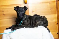 processed/fc7f1ad1-d314-4855-ba7b-a7f677dba74e/listing/e0566736-4990-4bb1-aa0f-967b57c4c9af/2f8a6636-98c1-44f3-8943-e0dc000e0b5e