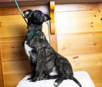 processed/fc7f1ad1-d314-4855-ba7b-a7f677dba74e/listing/e0566736-4990-4bb1-aa0f-967b57c4c9af/3f9a16e6-e6bf-43ad-8208-676ac5c0b512