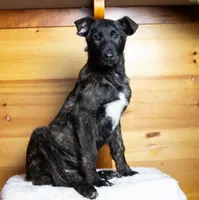 processed/fc7f1ad1-d314-4855-ba7b-a7f677dba74e/listing/e0566736-4990-4bb1-aa0f-967b57c4c9af/a74c4c76-784b-44d8-aa3b-064ff31cafb4