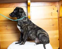 processed/fc7f1ad1-d314-4855-ba7b-a7f677dba74e/listing/e0566736-4990-4bb1-aa0f-967b57c4c9af/cc4aec86-d096-476a-b874-03af13ef3c87