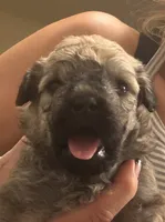 processed/fc88670c-794c-4267-a2fe-6730e2ee37cf/listing/1c7fd4f5-d415-4479-aa0e-a2e375ff0d41/dd04ef4f-e3eb-45ab-b74f-7cd6d08a0a47