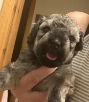 processed/fc88670c-794c-4267-a2fe-6730e2ee37cf/listing/2cdc1d42-5d10-4bd4-b8ae-899fdb9ea2de/2898b6ad-65cb-48d4-9a21-600f9c685923