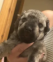 processed/fc88670c-794c-4267-a2fe-6730e2ee37cf/listing/2cdc1d42-5d10-4bd4-b8ae-899fdb9ea2de/d0152072-3ecf-4ff1-8fac-89c414622c69