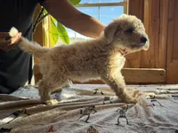 processed/fc88670c-794c-4267-a2fe-6730e2ee37cf/listing/b55f7323-ffa5-4738-b885-a1aa02d72c8d/138e7b93-92eb-4017-9a03-86a6f3fd8ad2