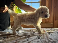 processed/fc88670c-794c-4267-a2fe-6730e2ee37cf/listing/b55f7323-ffa5-4738-b885-a1aa02d72c8d/60f9e169-ae30-4f01-a6cf-ff8e86dede74