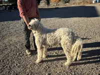 processed/fc88670c-794c-4267-a2fe-6730e2ee37cf/listing/b55f7323-ffa5-4738-b885-a1aa02d72c8d/9725e700-9f18-4050-ae87-7d7bad945667