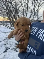 processed/fc903e8a-cac1-4305-b360-779b0f67e6b7/listing/ad736e37-9219-4106-8f19-18dc2acab2cc/01a36dfd-cce8-4d97-b971-7d9ecd41d1be