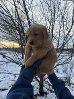 processed/fc903e8a-cac1-4305-b360-779b0f67e6b7/listing/ad736e37-9219-4106-8f19-18dc2acab2cc/587081a6-5248-4e1b-b105-9efb100d4a4a