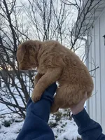 processed/fc903e8a-cac1-4305-b360-779b0f67e6b7/listing/ad736e37-9219-4106-8f19-18dc2acab2cc/8ea2476b-c482-4ee3-ace0-1556618983f4