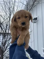 processed/fc903e8a-cac1-4305-b360-779b0f67e6b7/listing/ad736e37-9219-4106-8f19-18dc2acab2cc/c13ced5b-b964-4484-ba3a-f2dec9a2dd99