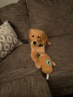 processed/fc915495-07c3-4e23-9647-85f7b23ba1e4/facility/e830fa2c-3688-49ab-adcd-f4296ef69346