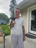 Tina, a female Chihuahua for sale in Abbotsford, WI – 2 of 4