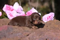 processed/fcaae4b8-05d5-4ffc-bf04-cdb7f98fd8d2/listing/0abb3c08-40a2-4971-951d-c1781125b16a/2018f67e-f165-410c-9e0e-733410bf8601