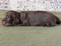 processed/fcaae4b8-05d5-4ffc-bf04-cdb7f98fd8d2/listing/0abb3c08-40a2-4971-951d-c1781125b16a/4cbfb06e-686a-450f-9464-9b06a45d252b