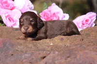 processed/fcaae4b8-05d5-4ffc-bf04-cdb7f98fd8d2/listing/0abb3c08-40a2-4971-951d-c1781125b16a/9543f94d-7551-4dd0-9d65-314418f877b4