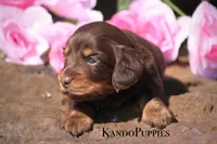 processed/fcaae4b8-05d5-4ffc-bf04-cdb7f98fd8d2/listing/0c4351a9-ca5d-48e2-a3ac-16d975fe4fc9/47ec6633-1301-4ba9-81c4-9628e91072b7