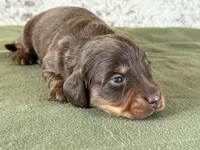 processed/fcaae4b8-05d5-4ffc-bf04-cdb7f98fd8d2/listing/0c4351a9-ca5d-48e2-a3ac-16d975fe4fc9/71b52876-a1f2-4b44-a61e-893ee6749b48