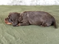 processed/fcaae4b8-05d5-4ffc-bf04-cdb7f98fd8d2/listing/0c4351a9-ca5d-48e2-a3ac-16d975fe4fc9/bbb34864-01fc-485b-afab-b484b5025218