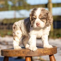 processed/fcaae4b8-05d5-4ffc-bf04-cdb7f98fd8d2/listing/0f414211-e971-468c-8598-1ff5dabc7948/af83955b-4b7a-4133-ad60-4cc5b5d03180