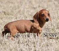 processed/fcaae4b8-05d5-4ffc-bf04-cdb7f98fd8d2/listing/42a0739e-8f5a-4a6c-b5b4-c8ea4e8b0469/0cdcb3d1-6324-4fd1-83a7-fd05f2645331