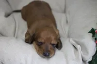 processed/fcaae4b8-05d5-4ffc-bf04-cdb7f98fd8d2/listing/42a0739e-8f5a-4a6c-b5b4-c8ea4e8b0469/52128c24-7bfb-4455-a545-6ece10d4c4cf