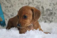 processed/fcaae4b8-05d5-4ffc-bf04-cdb7f98fd8d2/listing/42a0739e-8f5a-4a6c-b5b4-c8ea4e8b0469/65ce17b7-28c7-4668-96d2-de7264574ec3