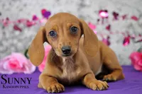 processed/fcaae4b8-05d5-4ffc-bf04-cdb7f98fd8d2/listing/42a0739e-8f5a-4a6c-b5b4-c8ea4e8b0469/6cc5d866-872d-4b29-9abe-8ee50c7da689