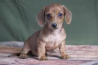 processed/fcaae4b8-05d5-4ffc-bf04-cdb7f98fd8d2/listing/42a0739e-8f5a-4a6c-b5b4-c8ea4e8b0469/78d01641-a99a-45b5-bbcd-683885c616ae