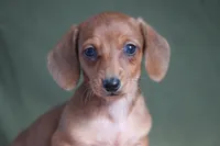 processed/fcaae4b8-05d5-4ffc-bf04-cdb7f98fd8d2/listing/42a0739e-8f5a-4a6c-b5b4-c8ea4e8b0469/9b5007cf-9992-4821-91b1-303e4c314d76