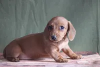 processed/fcaae4b8-05d5-4ffc-bf04-cdb7f98fd8d2/listing/42a0739e-8f5a-4a6c-b5b4-c8ea4e8b0469/e234b3d0-0109-45e5-a0fc-4117c11088e6