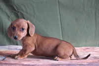 processed/fcaae4b8-05d5-4ffc-bf04-cdb7f98fd8d2/listing/42a0739e-8f5a-4a6c-b5b4-c8ea4e8b0469/ea5cca42-773f-4a47-ba9f-34d43247944a