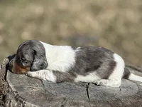 processed/fcaae4b8-05d5-4ffc-bf04-cdb7f98fd8d2/listing/578d791d-d944-4196-8f99-f95cb4b90781/0f89b6c1-d22b-4f23-9e73-136851f8e785