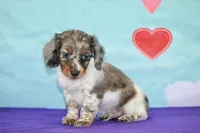 processed/fcaae4b8-05d5-4ffc-bf04-cdb7f98fd8d2/listing/578d791d-d944-4196-8f99-f95cb4b90781/24756279-9fa7-45a2-b68a-d32c62adb157