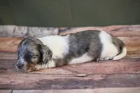 processed/fcaae4b8-05d5-4ffc-bf04-cdb7f98fd8d2/listing/578d791d-d944-4196-8f99-f95cb4b90781/3c83fdb9-1f60-4797-bcdd-f1a057a5d31f