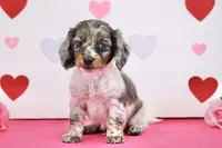 processed/fcaae4b8-05d5-4ffc-bf04-cdb7f98fd8d2/listing/578d791d-d944-4196-8f99-f95cb4b90781/678d1679-3a3b-44ec-b46d-b292de8868b7