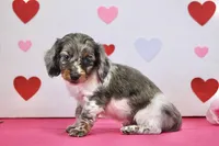 processed/fcaae4b8-05d5-4ffc-bf04-cdb7f98fd8d2/listing/578d791d-d944-4196-8f99-f95cb4b90781/7005b200-fa8b-4c55-a535-e2140992167c