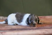 processed/fcaae4b8-05d5-4ffc-bf04-cdb7f98fd8d2/listing/578d791d-d944-4196-8f99-f95cb4b90781/85fd9671-5a5e-4208-97ba-52c3679fe936