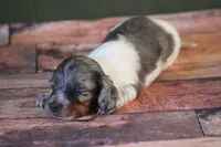 processed/fcaae4b8-05d5-4ffc-bf04-cdb7f98fd8d2/listing/578d791d-d944-4196-8f99-f95cb4b90781/917167ff-6d88-4645-8af5-51d13a19940f