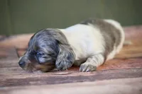 processed/fcaae4b8-05d5-4ffc-bf04-cdb7f98fd8d2/listing/578d791d-d944-4196-8f99-f95cb4b90781/bfbe78b8-2cf5-45f6-9128-0187b335d0ae