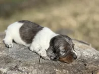 processed/fcaae4b8-05d5-4ffc-bf04-cdb7f98fd8d2/listing/578d791d-d944-4196-8f99-f95cb4b90781/d15a7cdc-01f9-4d1e-91be-c8b9a156ce2a