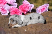 processed/fcaae4b8-05d5-4ffc-bf04-cdb7f98fd8d2/listing/7f4415ba-2914-4b0c-9488-897245bfe317/09a57e61-0dca-46d5-ad25-be4e82800f5b