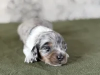 processed/fcaae4b8-05d5-4ffc-bf04-cdb7f98fd8d2/listing/7f4415ba-2914-4b0c-9488-897245bfe317/0e054fe2-6381-449b-8025-ee25f09bef67