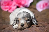 processed/fcaae4b8-05d5-4ffc-bf04-cdb7f98fd8d2/listing/7f4415ba-2914-4b0c-9488-897245bfe317/37c651c3-95b3-4f55-9999-d9276a90d868