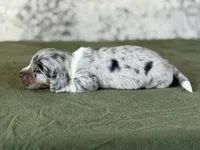 processed/fcaae4b8-05d5-4ffc-bf04-cdb7f98fd8d2/listing/7f4415ba-2914-4b0c-9488-897245bfe317/8646ce8c-ecdf-48dc-af1f-5b270b06d072