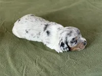 processed/fcaae4b8-05d5-4ffc-bf04-cdb7f98fd8d2/listing/7f4415ba-2914-4b0c-9488-897245bfe317/ecb1ae7b-62bc-49bb-96d4-f7add58fe933