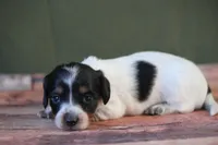 processed/fcaae4b8-05d5-4ffc-bf04-cdb7f98fd8d2/listing/94ac070d-0af5-4b80-bdf4-66b3934a8bd7/45ea2231-aa1a-4afd-ab6d-e59961a10bba