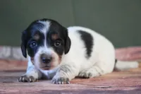 processed/fcaae4b8-05d5-4ffc-bf04-cdb7f98fd8d2/listing/94ac070d-0af5-4b80-bdf4-66b3934a8bd7/be7413f8-13fb-4a55-b1dd-979f6b721004