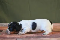 processed/fcaae4b8-05d5-4ffc-bf04-cdb7f98fd8d2/listing/94ac070d-0af5-4b80-bdf4-66b3934a8bd7/bf27b078-801b-4b79-97e9-99235919328c